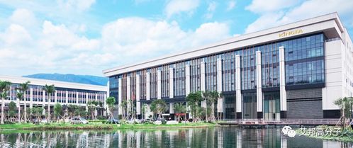 國(guó)內(nèi)改性尼龍企業(yè)30強(qiáng) 新材料科技領(lǐng)域的技術(shù)創(chuàng)新與市場(chǎng)格局