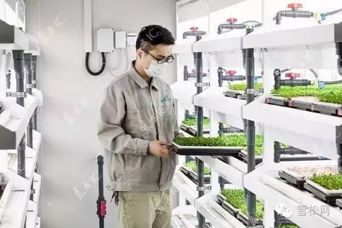 物聯(lián)網(wǎng)技術(shù)在植物工廠的創(chuàng)新應(yīng)用與實(shí)踐